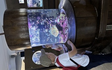 IMG_3450.jpeg