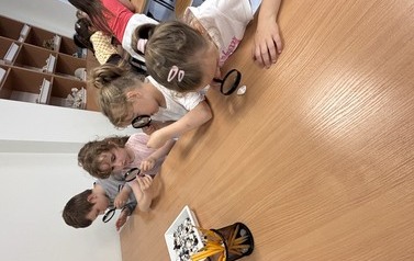 IMG_3420.jpeg