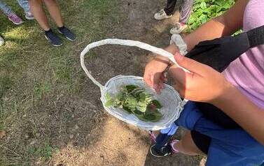 3ec9477e-9ea2-4448-8db1-6aee2d99253a.jpeg