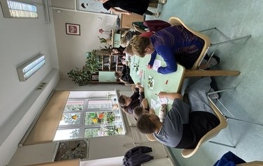 IMG_7908.jpeg