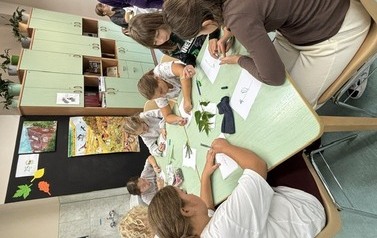IMG_7906.jpeg