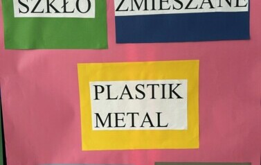 Projekt "Eko-Inicjatywa w Mikołajkach Pomorskich" 78