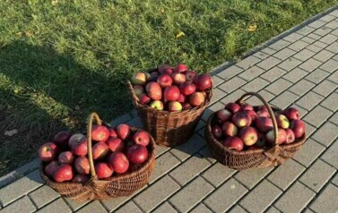 Tydzień Szczęścia 36