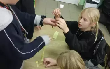 Doradztwo zawodowe  20