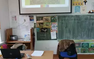 Dzień Świętego Patryka - 17 marca 6