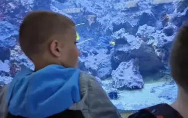 Tutaj rodzą się pasje i fascynacja nauką.&nbsp;Wizyta w Centrum Nauki Eksperyment oraz w Oceanarium 29