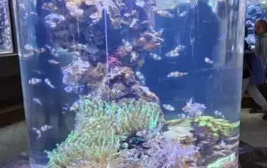Tutaj rodzą się pasje i fascynacja nauką.&nbsp;Wizyta w Centrum Nauki Eksperyment oraz w Oceanarium 30