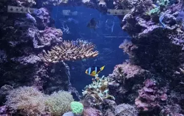Tutaj rodzą się pasje i fascynacja nauką.&nbsp;Wizyta w Centrum Nauki Eksperyment oraz w Oceanarium 31