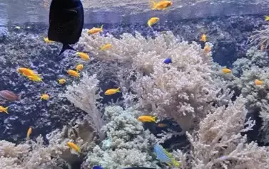 Tutaj rodzą się pasje i fascynacja nauką.&nbsp;Wizyta w Centrum Nauki Eksperyment oraz w Oceanarium 32