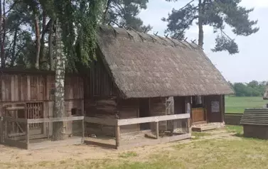 Wycieczka: Grunwald, Olsztynek , Olsztyn. 28