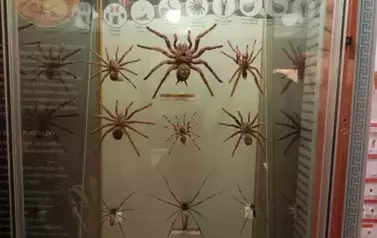 Jak przygoda to tylko we Władysławowie 5