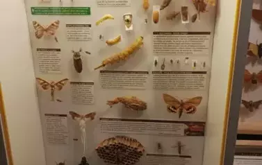 Jak przygoda to tylko we Władysławowie 6