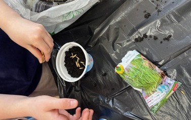 IMG_2383.jpeg