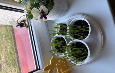 IMG_2426.jpeg