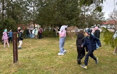 image4.jpeg