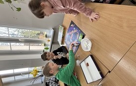 IMG_2340.jpeg