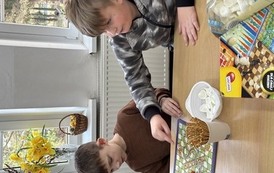 IMG_2339.jpeg