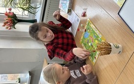 IMG_2337.jpeg