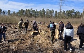 IMG-20260424-WA0013