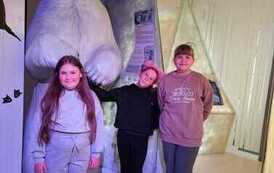 IMG-20260518-WA0037