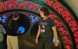 IMG-20260518-WA0033
