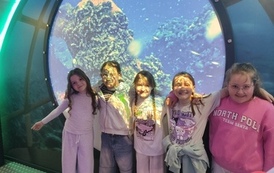 IMG_20260508_111231