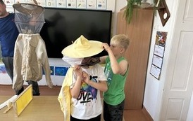 image17.jpeg