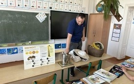 image11(1).jpeg