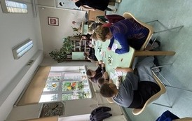 IMG_7908.jpeg
