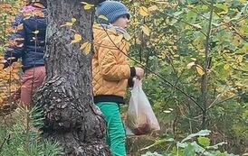 Plastyka w terenie- tworzenie prac z dar&oacute;w natury / zad.2/ 12