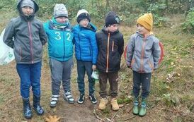 Plastyka w terenie- tworzenie prac z dar&oacute;w natury / zad.2/ 22