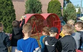 Zabawa w terenie klas II 12