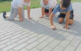 Dzień Kapsla 19