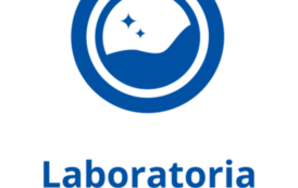 Wsp&oacute;łpraca w projektach 16