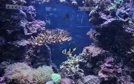 Tutaj rodzą się pasje i fascynacja nauką.&nbsp;Wizyta w Centrum Nauki Eksperyment oraz w Oceanarium 31