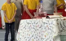 Event -Tacy sami 221