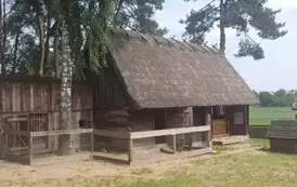 Wycieczka: Grunwald, Olsztynek , Olsztyn. 28