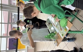 IMG_6050
