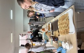 IMG_6049